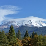 ~ 2011 Newsletter Recap ~